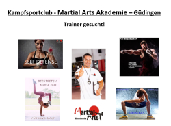 Martial Arts Akademie GmbH