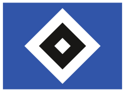 HSV Fußball AG & Co. KGaA