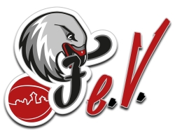 Nürnberg Falcons e.V: