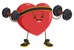Bodyconcept Diez